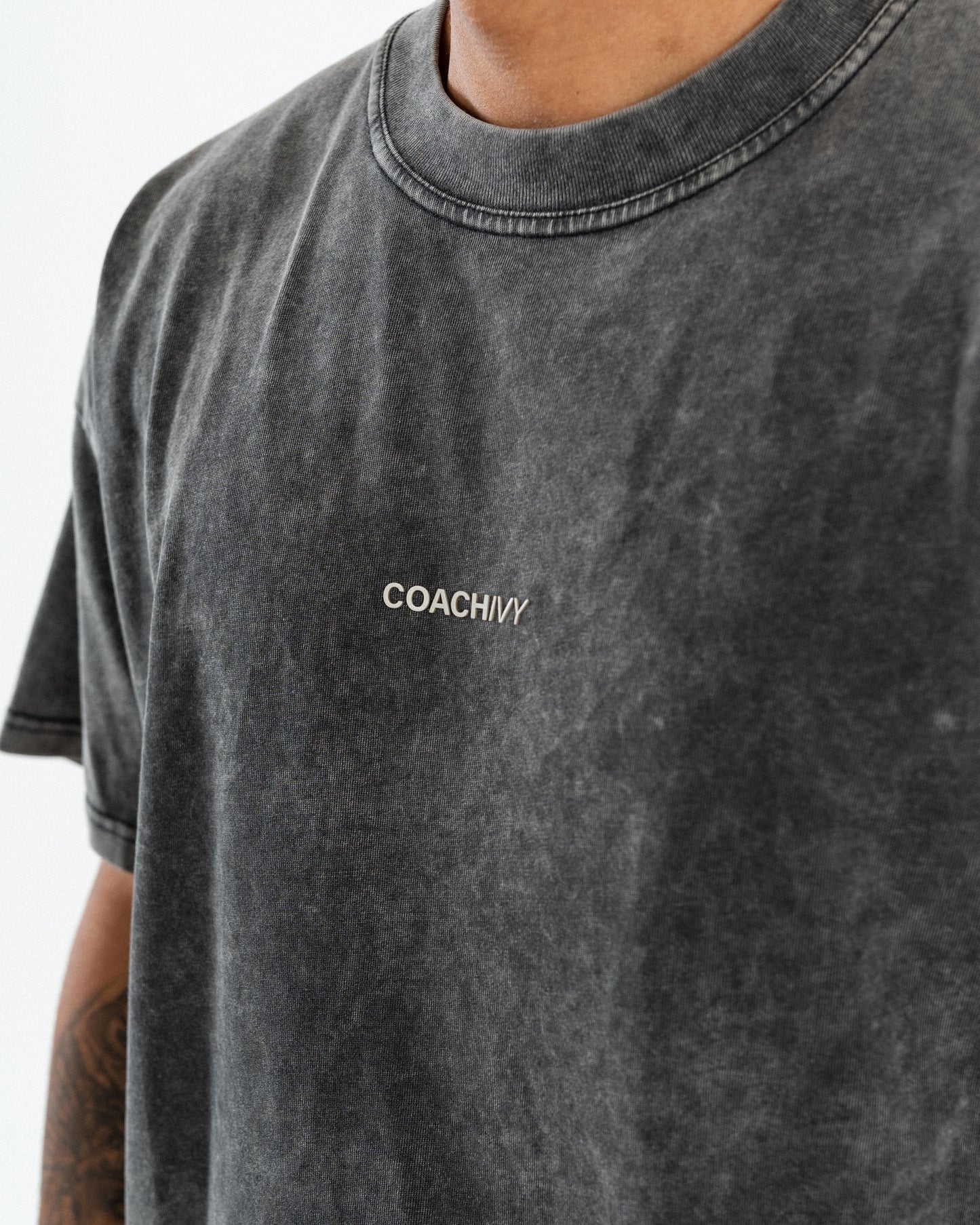 Stonewash logo - T-shirt